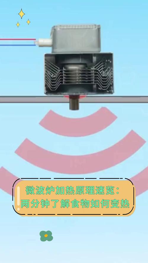 微波炉加热食物的原理(微波炉加热食物的原理和方法)
