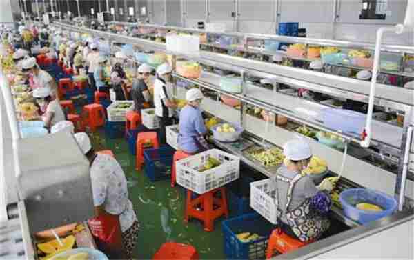 术技农术品品加（农产品加工新技术）