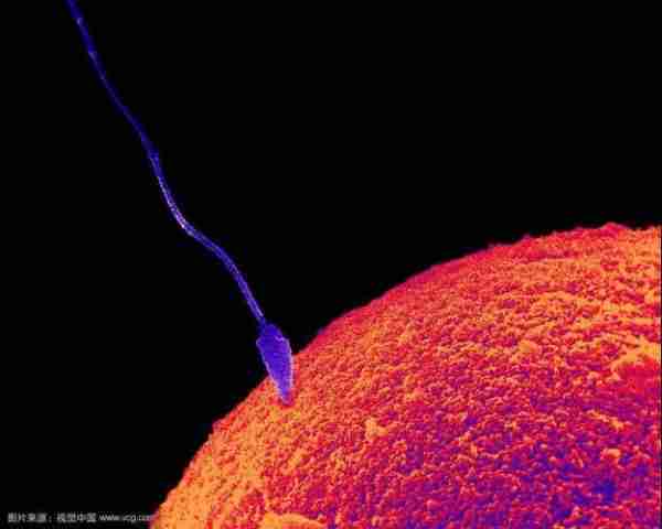 G术场应G景场景（场景指什么意思）