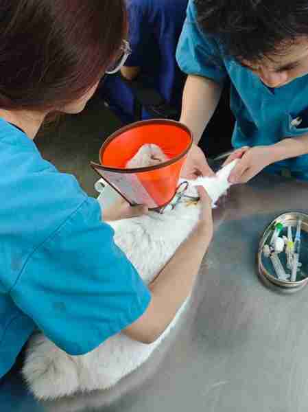 物保性生物生护(生物保护专业出来了可以做什么工作)