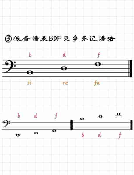 谱全大脂大谱谱（大谱表常用的有几种）