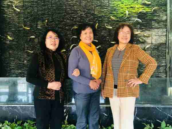 美入程门护护美程的简单介绍