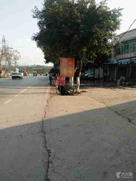 南应坝南用应术南（南应事件是什么）