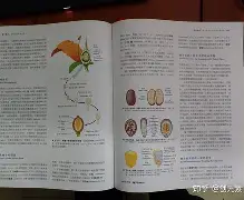 孤独感的生物学基础_孤独的生物有哪些 孤独感的生物学基础_孤独的生物有哪些