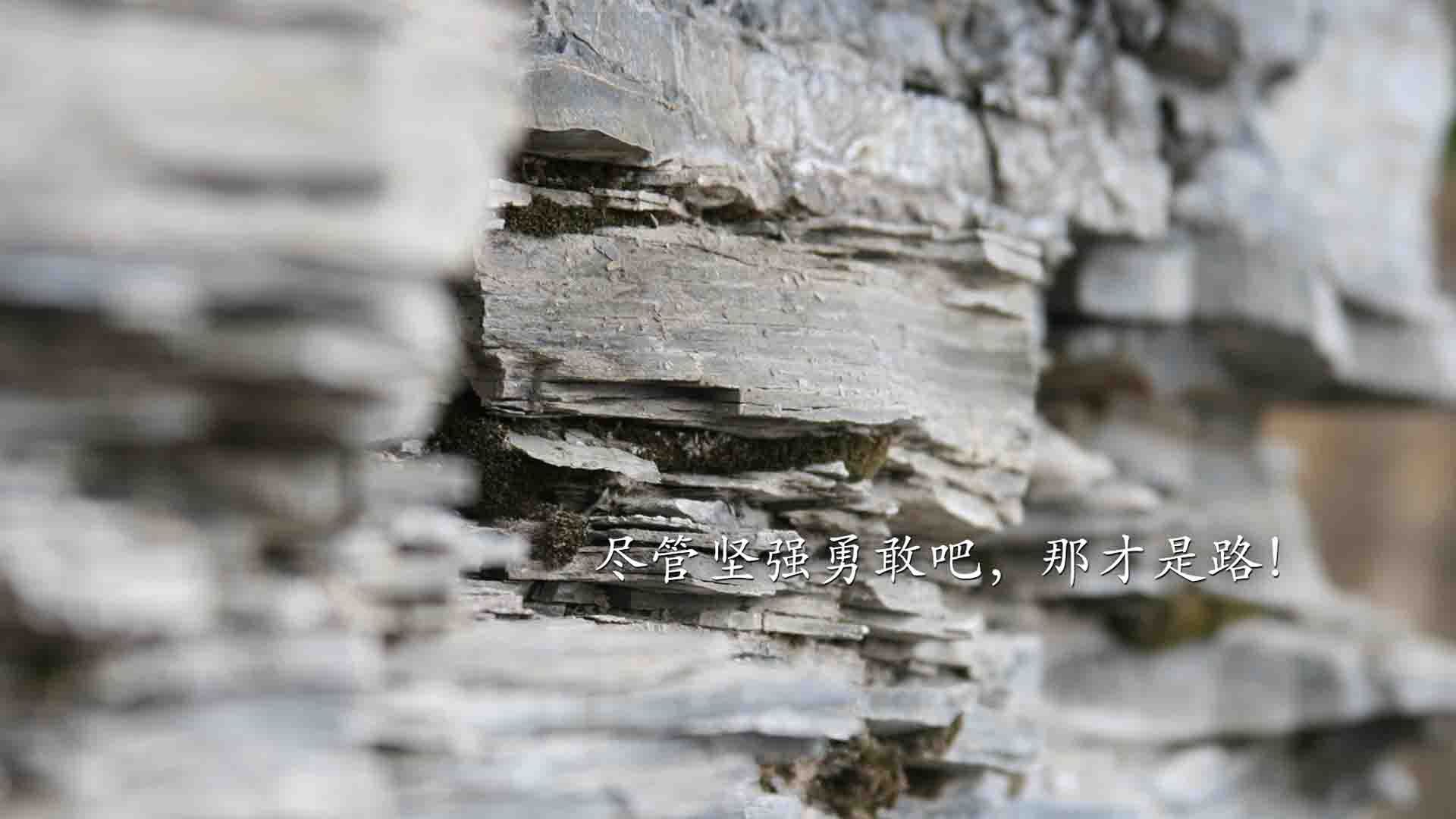 秘密社团的握手暗号_大学秘密社团