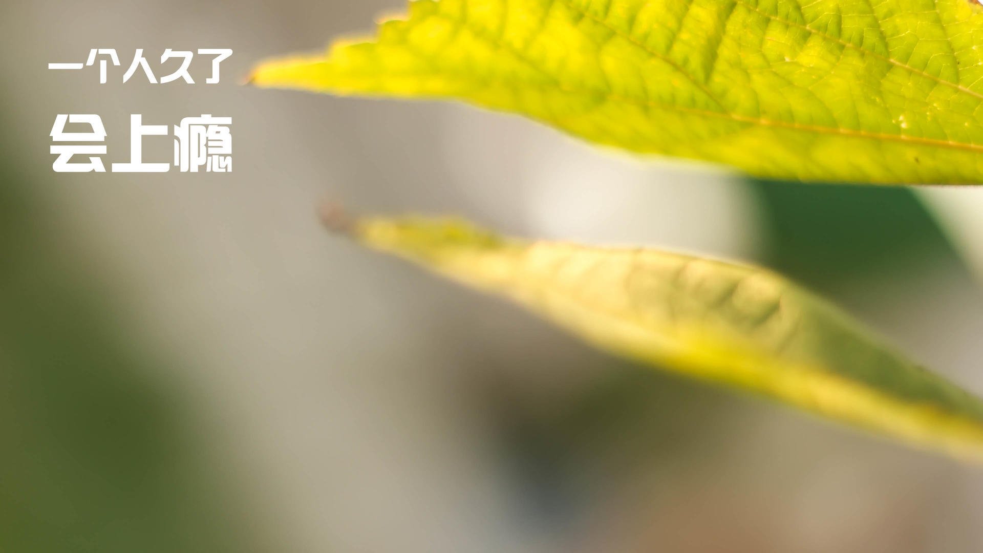 巴比伦空中花园存在吗？_巴比伦空中花园是怎么回事