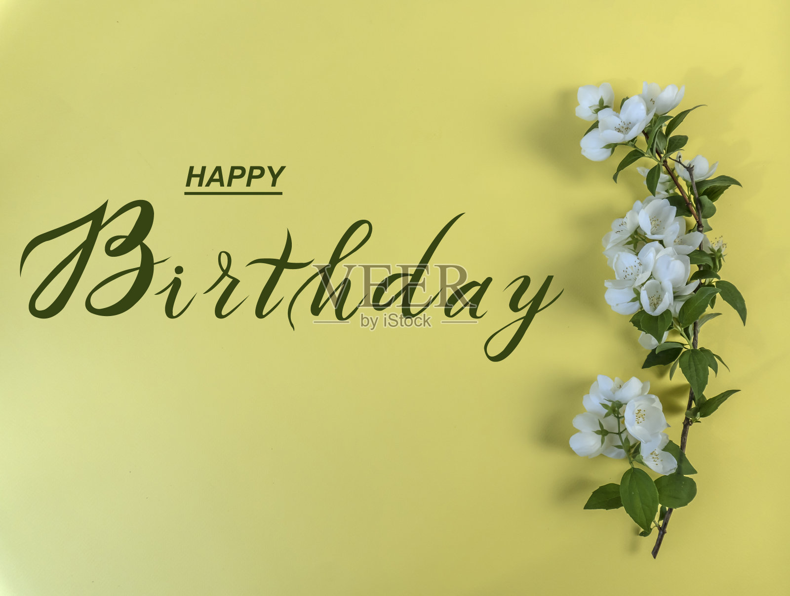 互联网的“生日”_互联网的生日 互联网的“生日”_互联网的生日