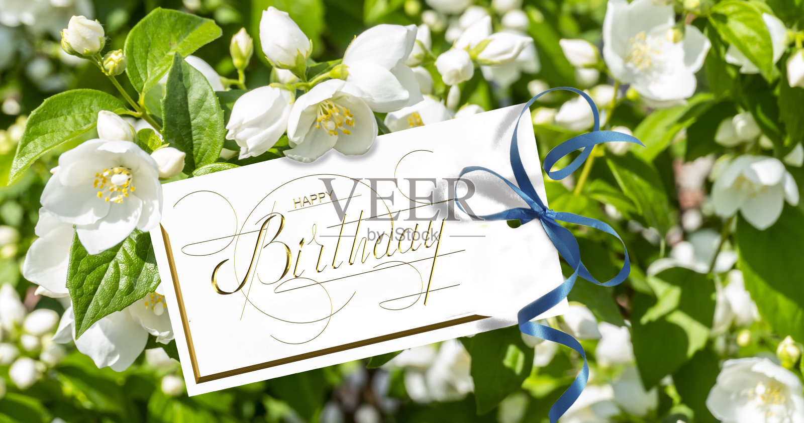 互联网的“生日”_互联网的生日 互联网的“生日”_互联网的生日