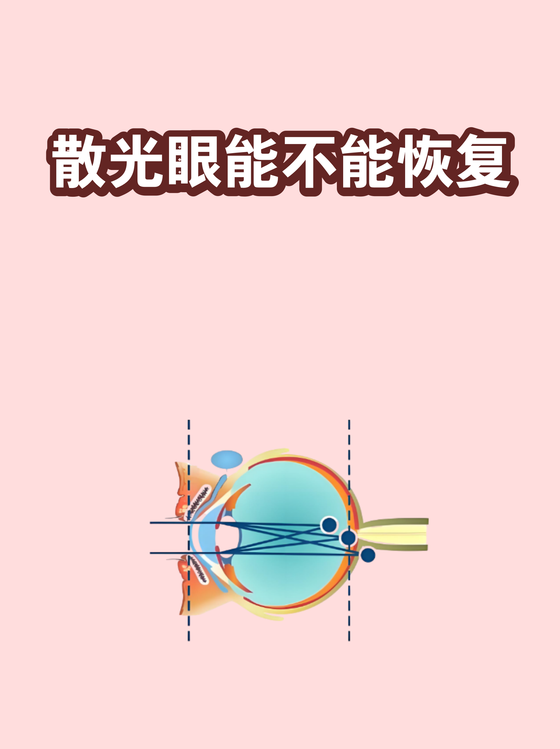 左右手习惯的成因_左右手都使用的人有什么特点