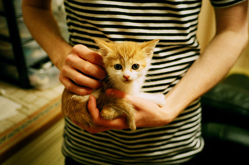 少子化社会如何维系?_少子化现状