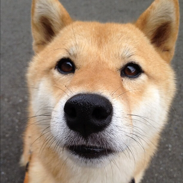 方便面的发明故事_方便面的发明故事50字