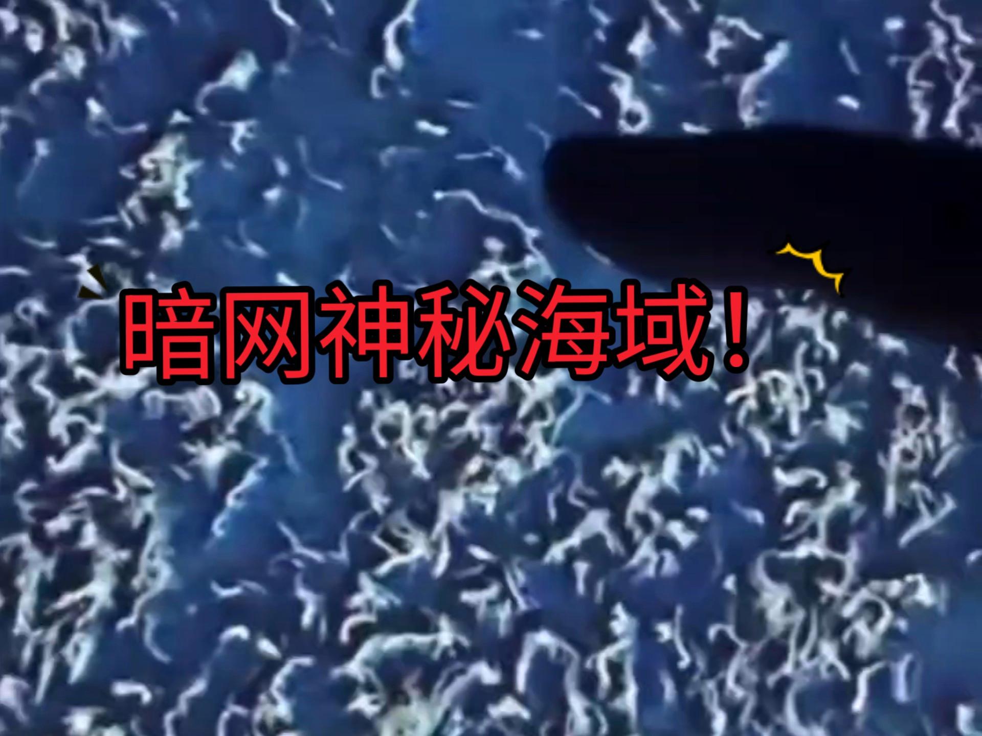 包含暗网上的神秘市场的词条