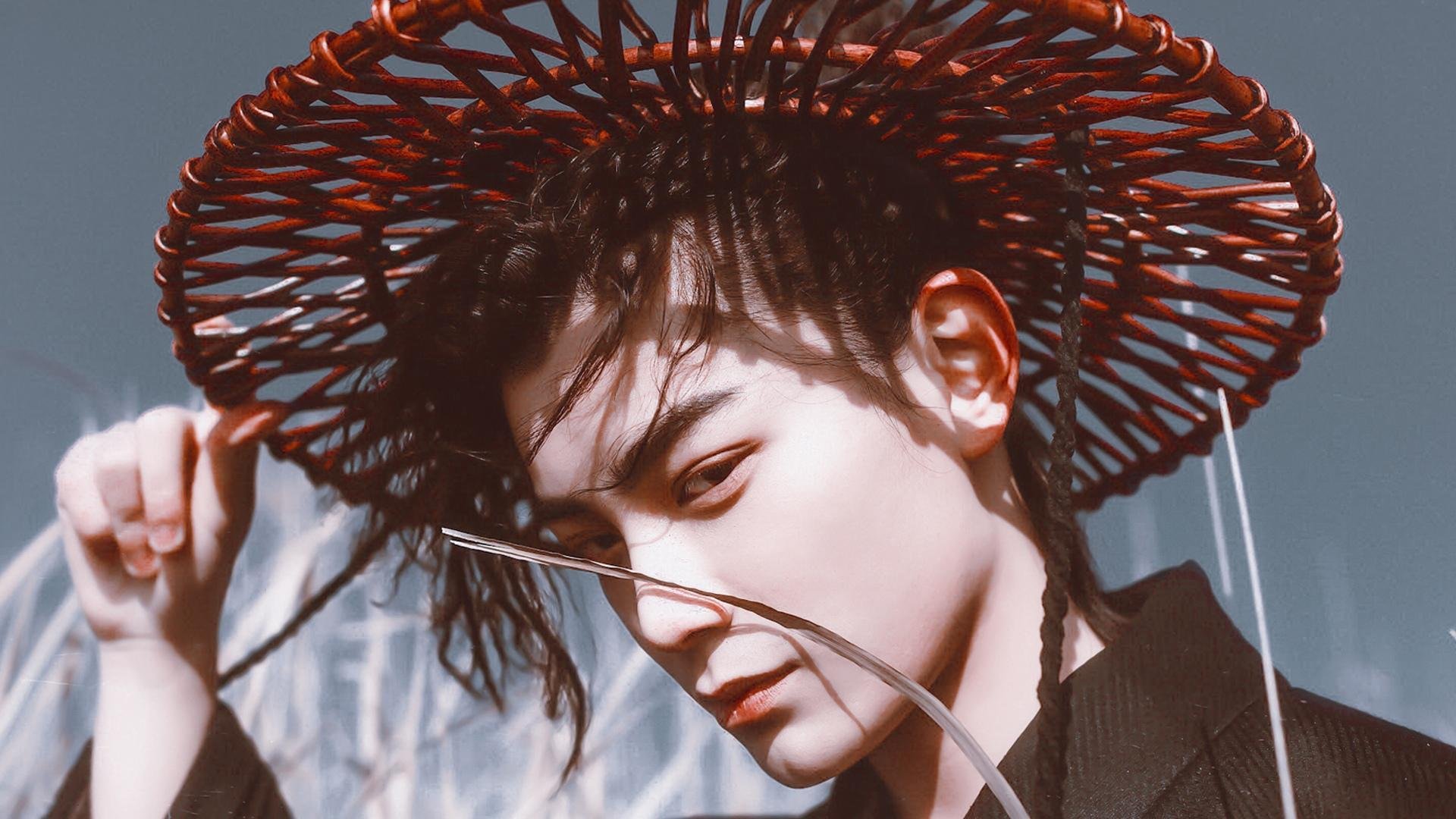 昆虫的超级感官世界_昆虫感知外界的器官有哪些