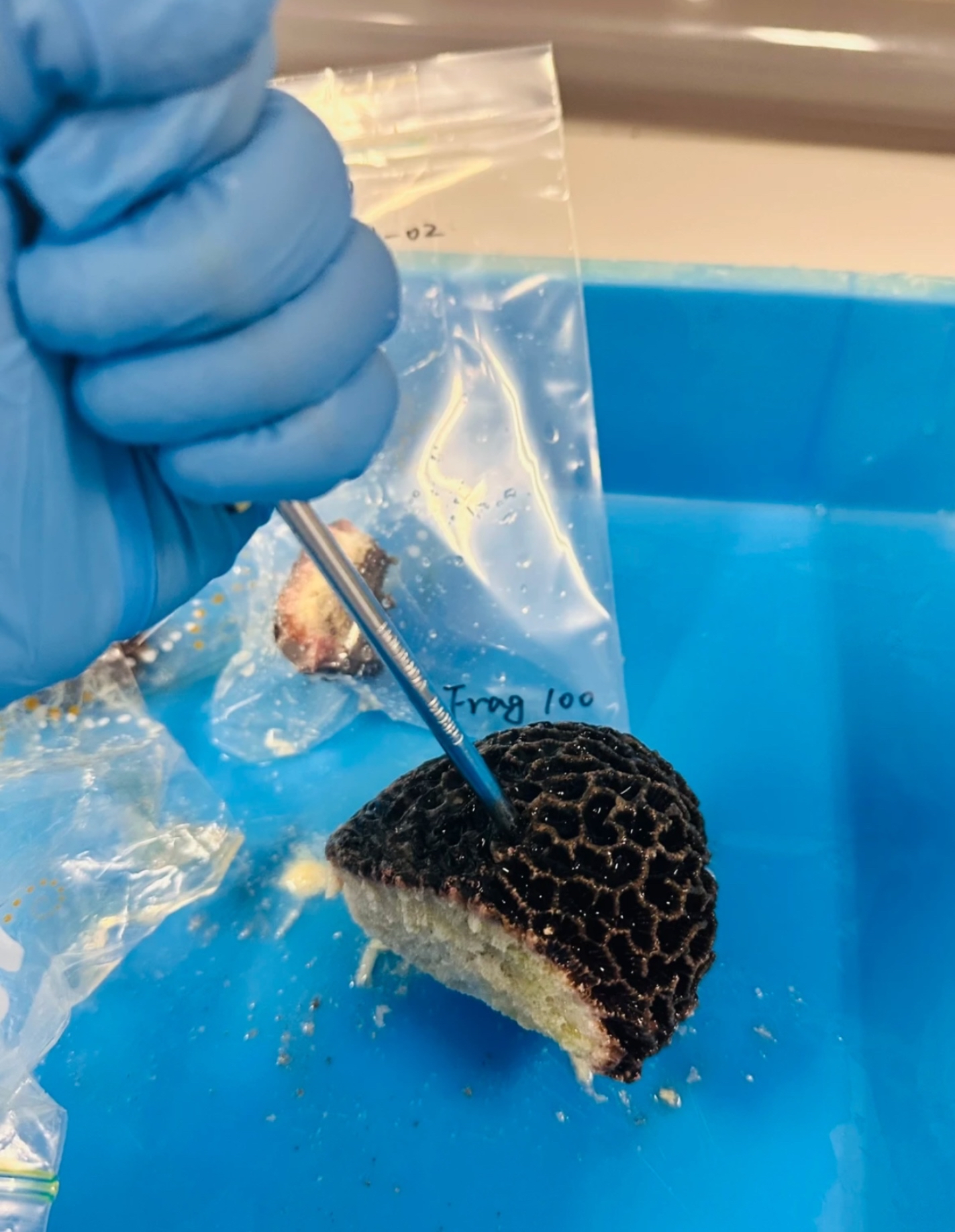 心灵感应的实验证据_心灵感应的实验证据是什么