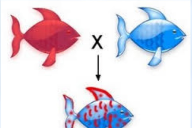 共生关系的奇妙案例_共生关系的奇妙案例图片