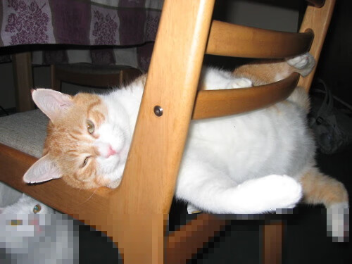 红海:最温暖的海洋_红海的具体位置在哪