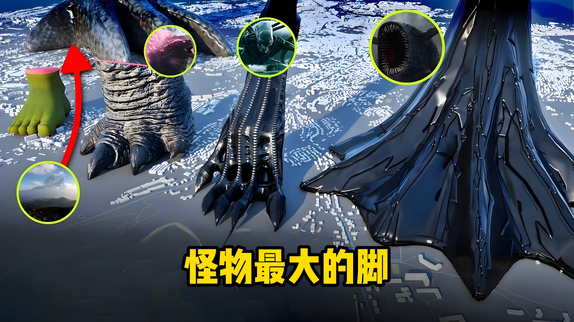 大脚怪存在的可能_大脚怪是否真实存在