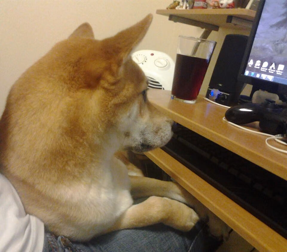 十字军东征的复杂影响_十字军东征的时间起止