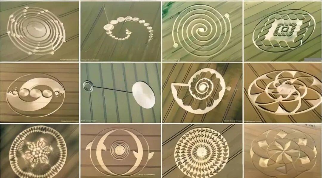 麦田圈与外星信息_麦田圈破译了 麦田圈与外星信息_麦田圈破译了