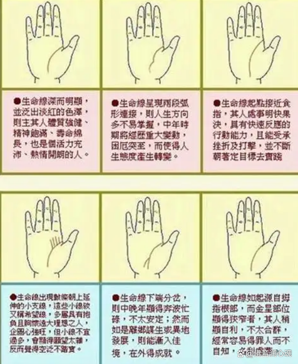 手相学的文化流传_手相的学问 手相学的文化流传_手相的学问